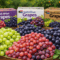 Bulk Grapes exporters South Africa