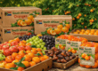 Bulk Oranges exporters South Africa