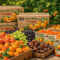 Bulk Oranges exporters South Africa
