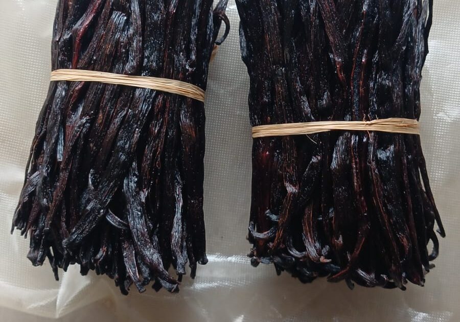 Best Vanilla exporting company in Kampala Uganda