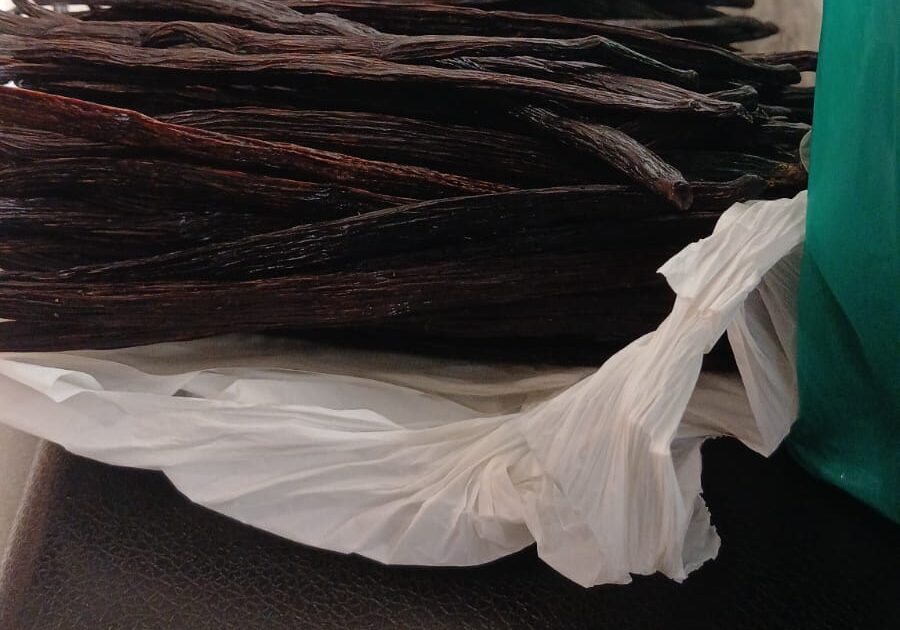 Best Vanilla exporting company in Kampala Uganda