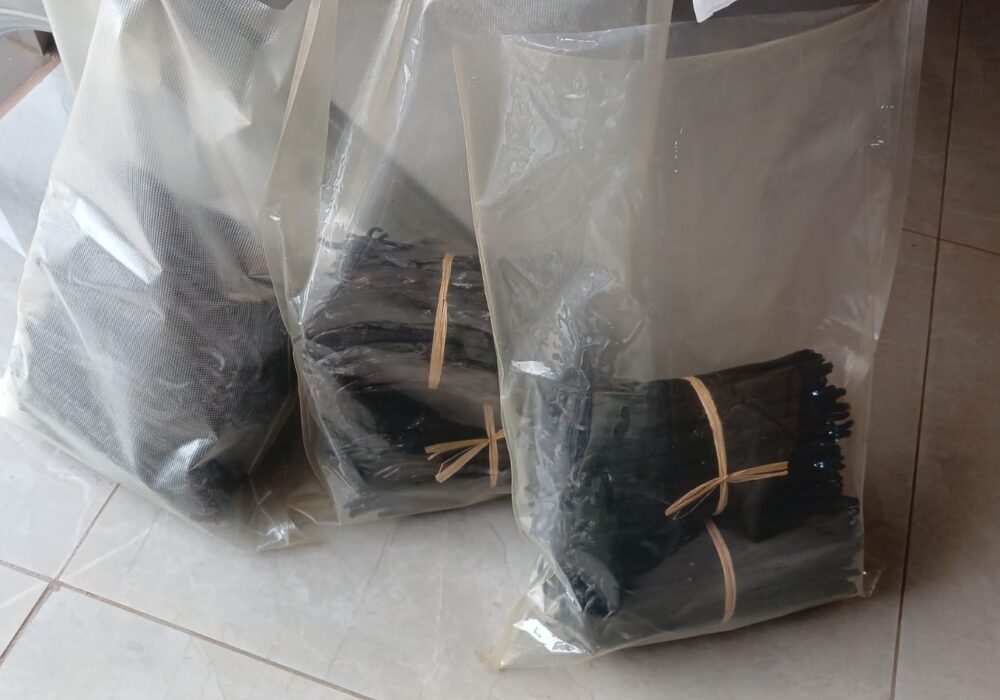 Best Vanilla exporting company in Kampala Uganda