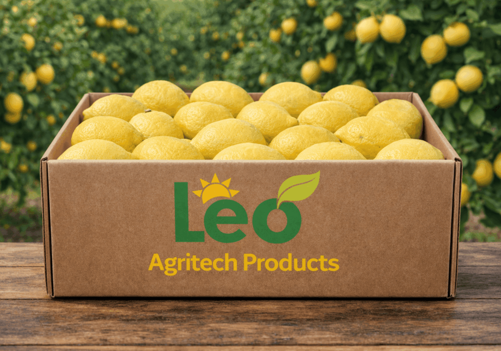 Bulk Lemon Suppliers South Africa