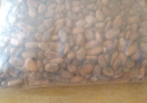 Bulk Cocoa Suppliers South Africa