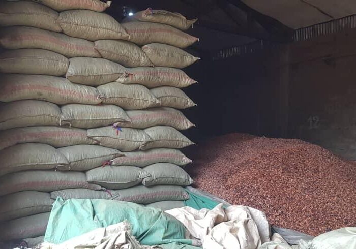 South Africa Cocoa Exporters