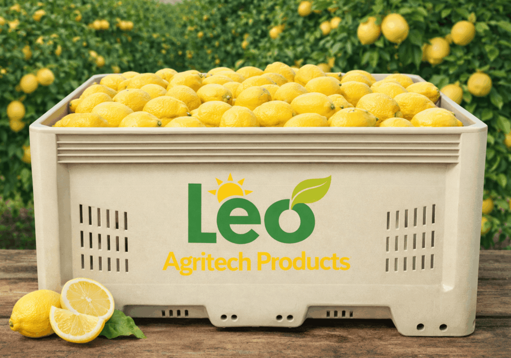 Commercial Fresh Lemon Suppliers