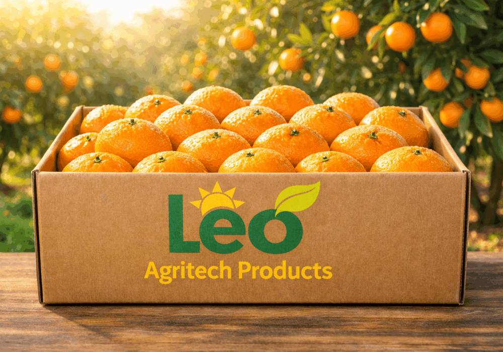 Commercial Orange Exporters Africa