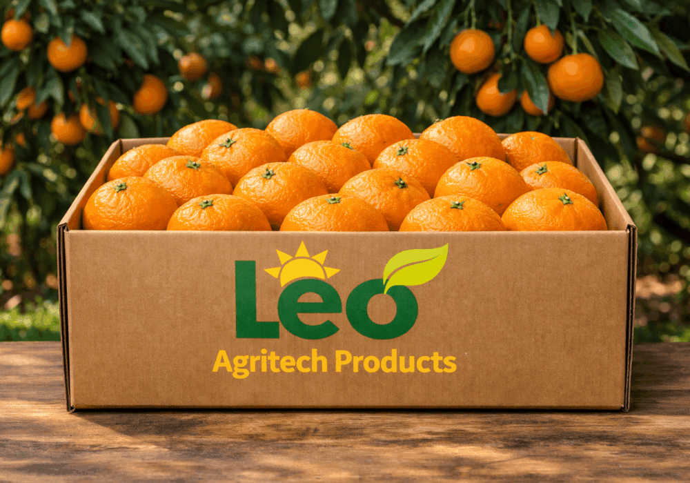 Leading Citrus Exporters South Africa