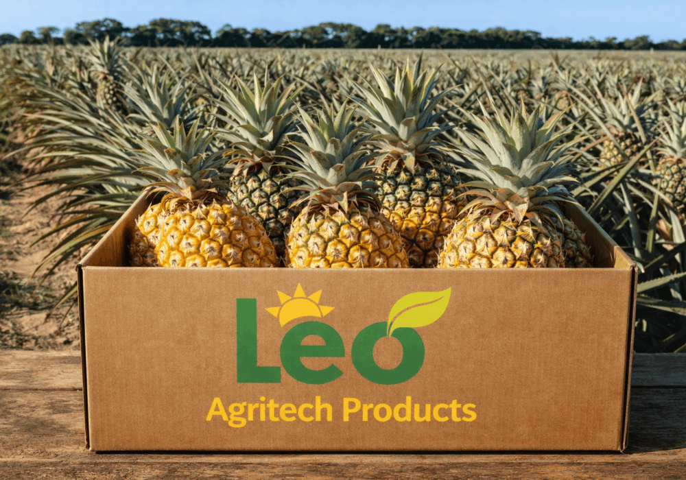 Leading Tropical Fruit Exporters