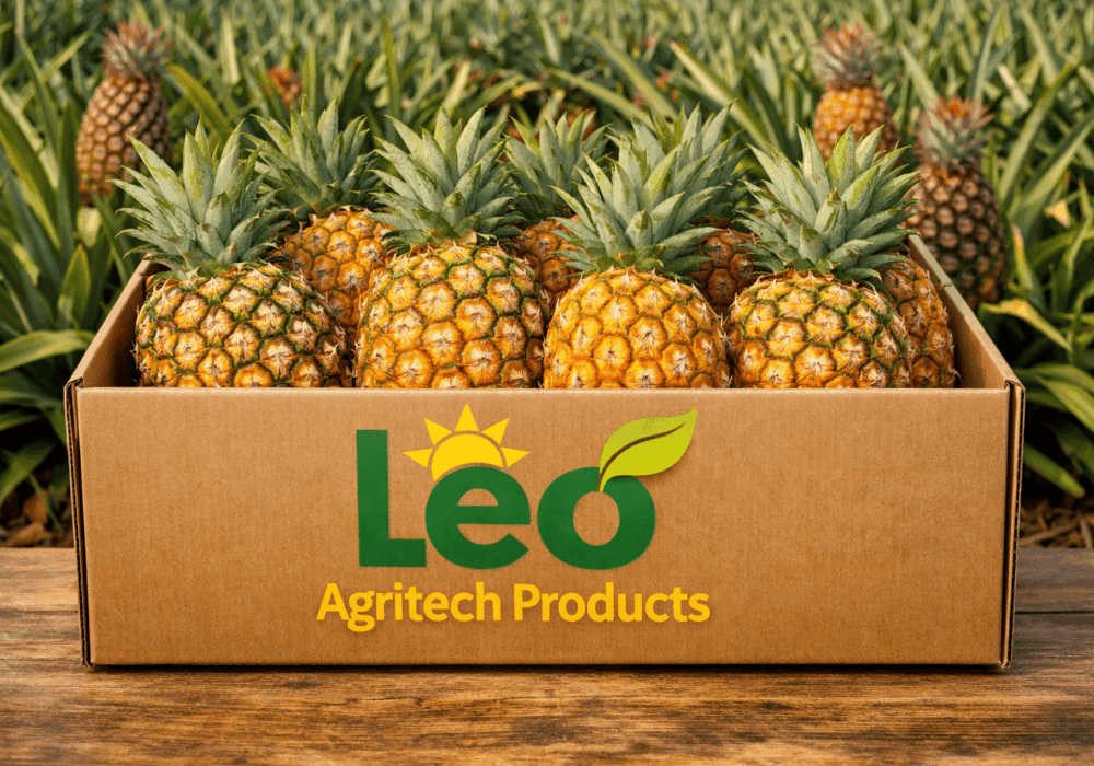 Pineapple Exporters South Africa