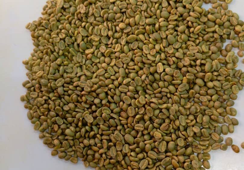 Premium Coffee Export South Africa