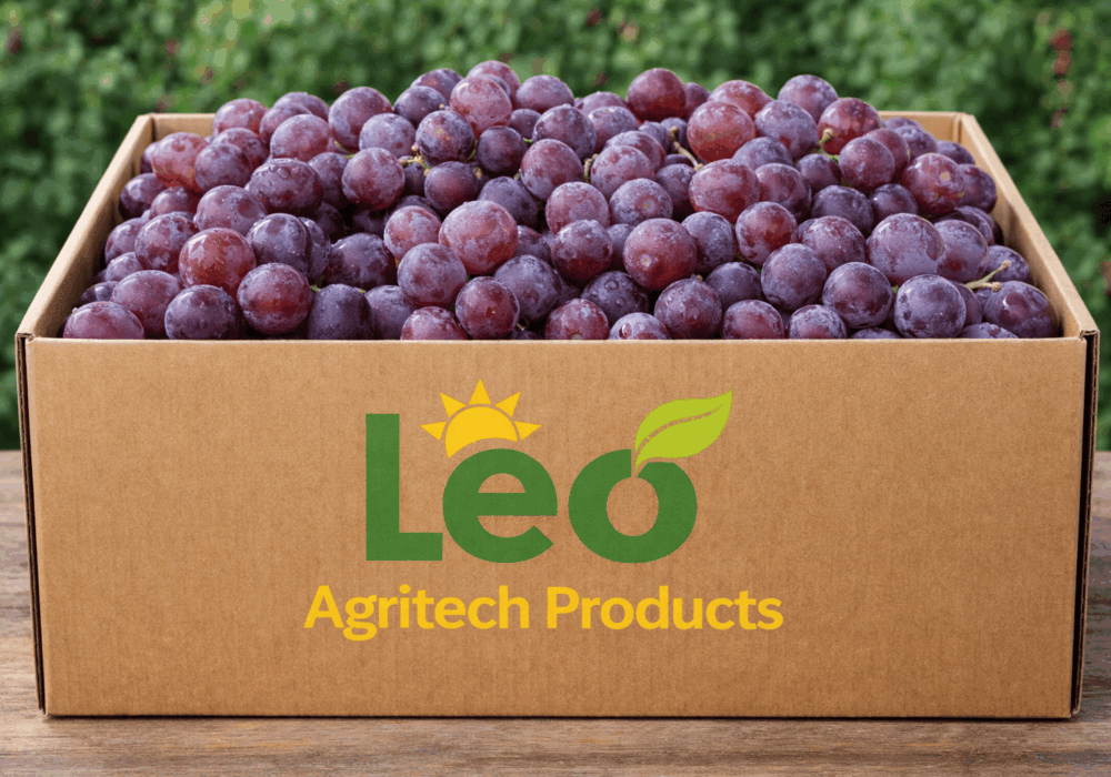 Wholesale Grapes Exporters South Africa